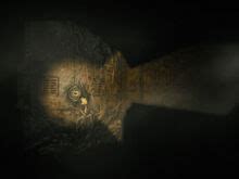 darkwood shiny stone|The Radio Tower .